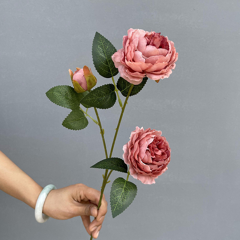 3 Foreign peonies-bean paste color