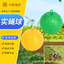 �����߲�ͨ���T���� �Sɫ����ωճ�x�� �������ӿ�ϰ�������g