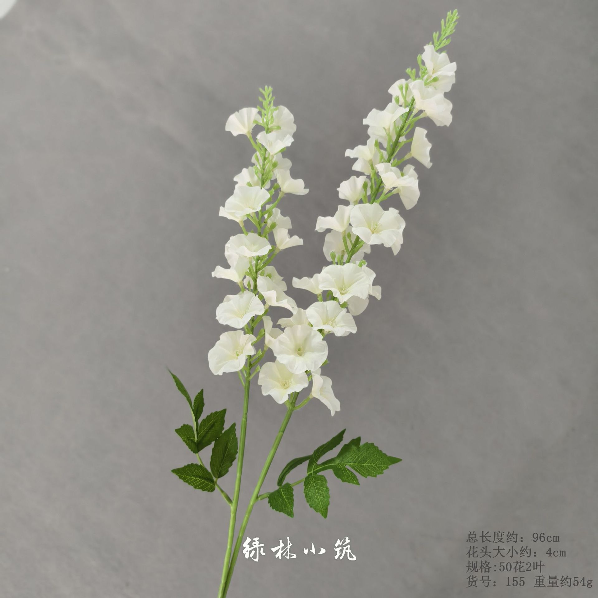 품목번호 155-Qianxun