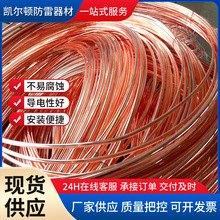 定制铜包钢圆钢镀锡接地母线镀铜生产厂家批发铜覆钢圆线