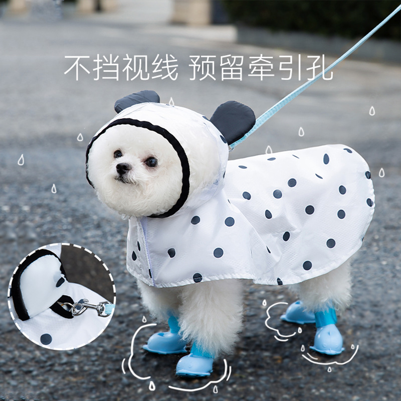 Summer full-print polka-dot bear dog poncho can pull two-legged raincoat when it rains, small dog pet waterproof clothing