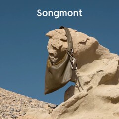 【江啓明共同モデル】Songmont 山下有松破殻シリーズ シェルバッグ ユニセックス クロスボディ ホーボーバッグ