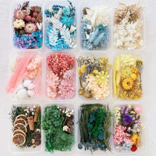 手工diy永生花混装干花材料婚庆旅游纪念派对天然风干仿真花材包