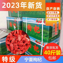 Դ�^�a�،�������ؼ��t������b���40��ɢ؛�����ș������