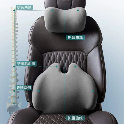 for Driver and Passenger Cervical Spine — Headrest