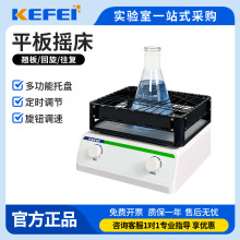 科菲恒温脱色摇床实验室回旋往复式调速振荡器水平小型翘板垒德株