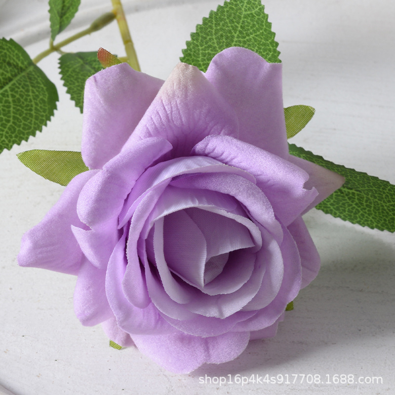 Aisha rosa púrpura claro