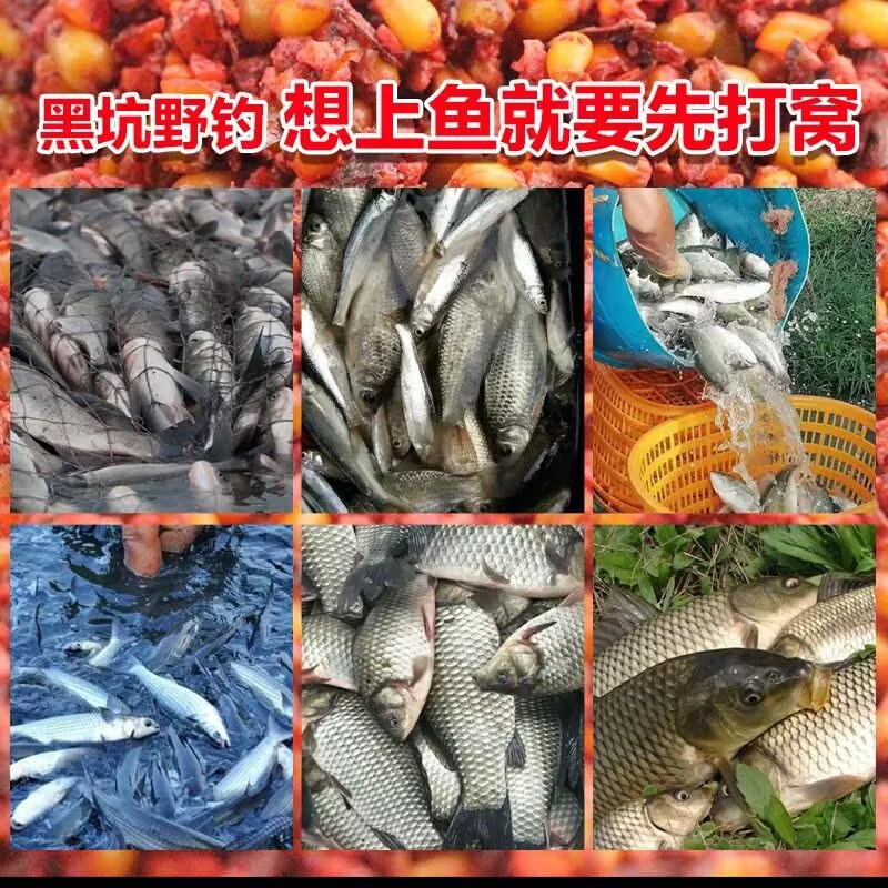 0DFCCBEF2A8A7A10A83465119819A7