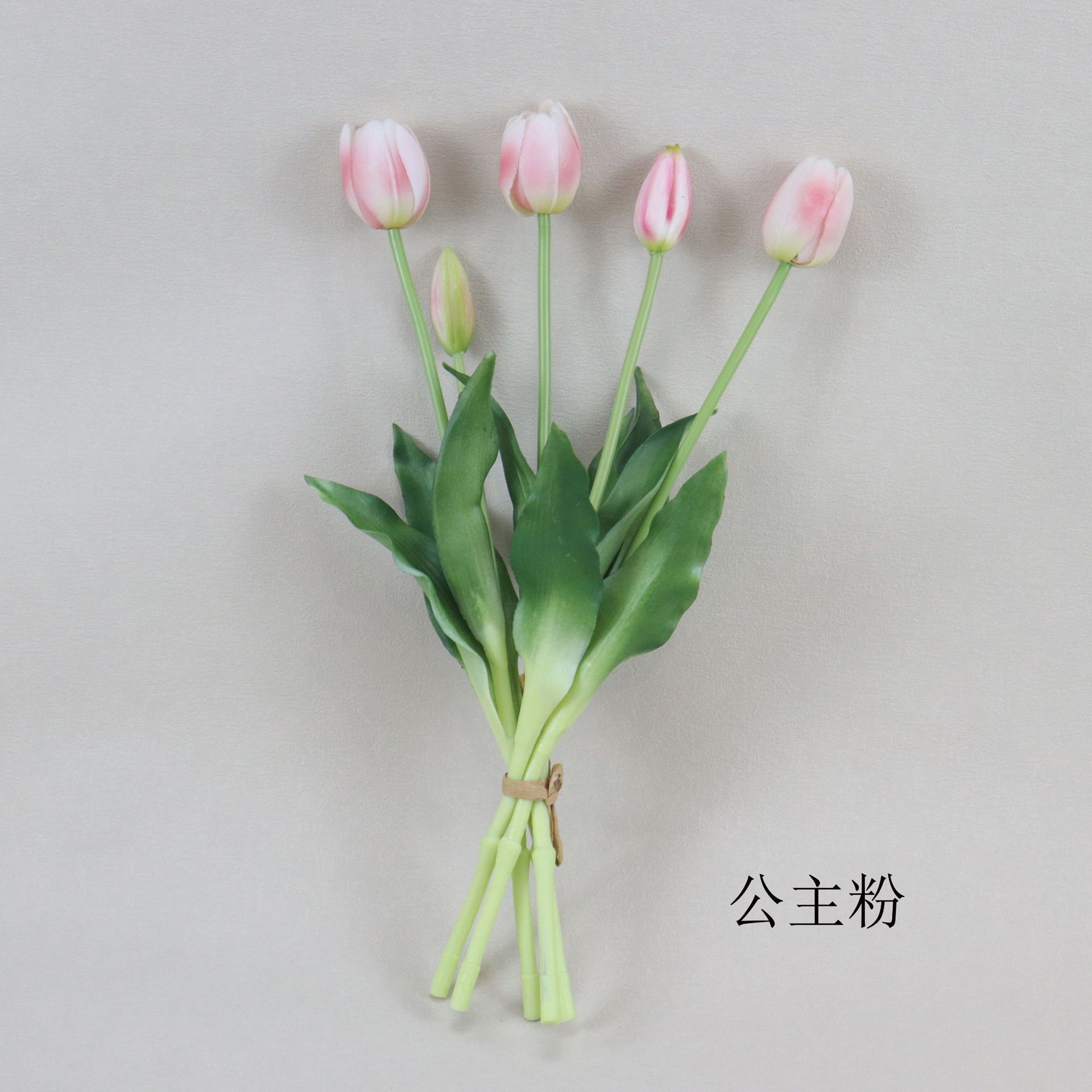 공주 분말