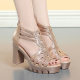 Summer New Style Fish-mouth Comfortable Casual All-match Mom Shoes Bag Heel Zipper Roman Sandals Thick Heel High Heel Sandals