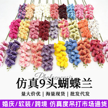 跨境9头仿真蝴蝶兰3d打印胶片仿真花婚庆装饰假花场景布置花艺