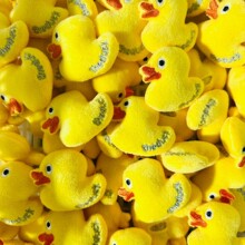 ��ͨ�ɐ۴��S��������ᘰ�������l��ƷЬ�m�o���������