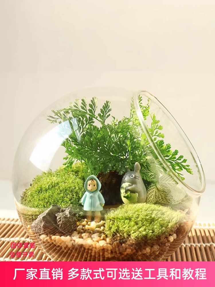 Микроландшафтная косая стеклянная ваза, мх и суккуленты, экологическая бутылка «сделай сам», аксессуары для украшения зеленых растений на домашнем столе