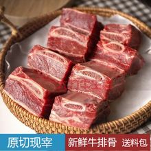 新鲜国产牛排骨多肉原切牛肋排2斤牛排 骨速冻黄牛清真