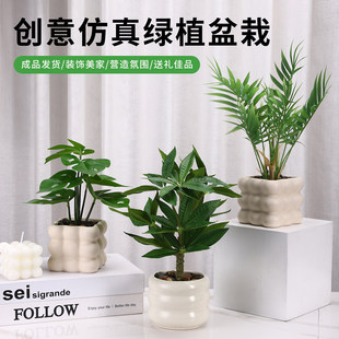 �����L����Gֲ��ֲ��������͏d���������b[�OС���Լٻ��[��