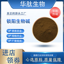 锁阳生物碱  锁阳提取物 食品级 男性保健原料 500g/袋 现货