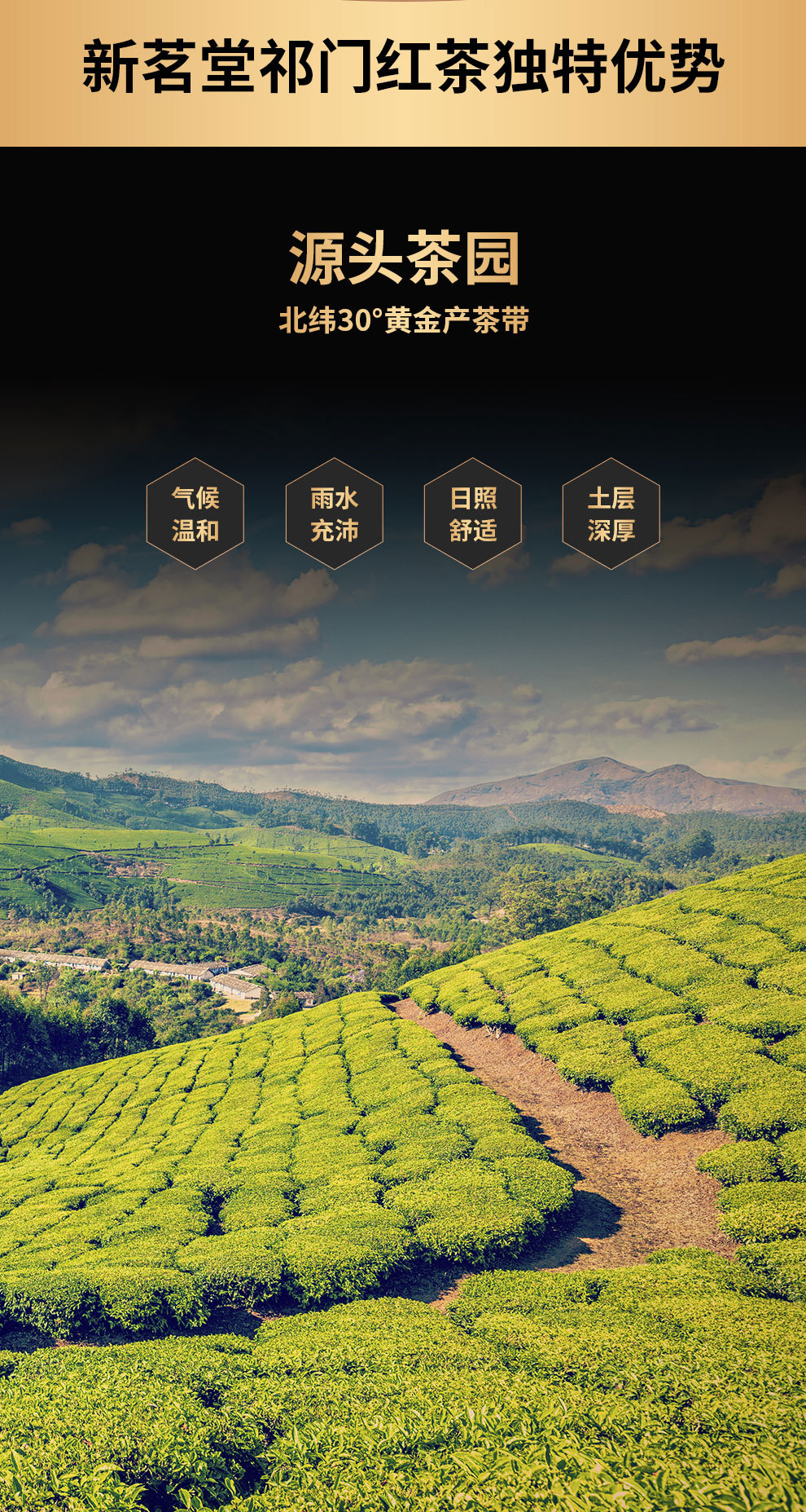 核心地祁门红茶礼盒详情页_12.jpg