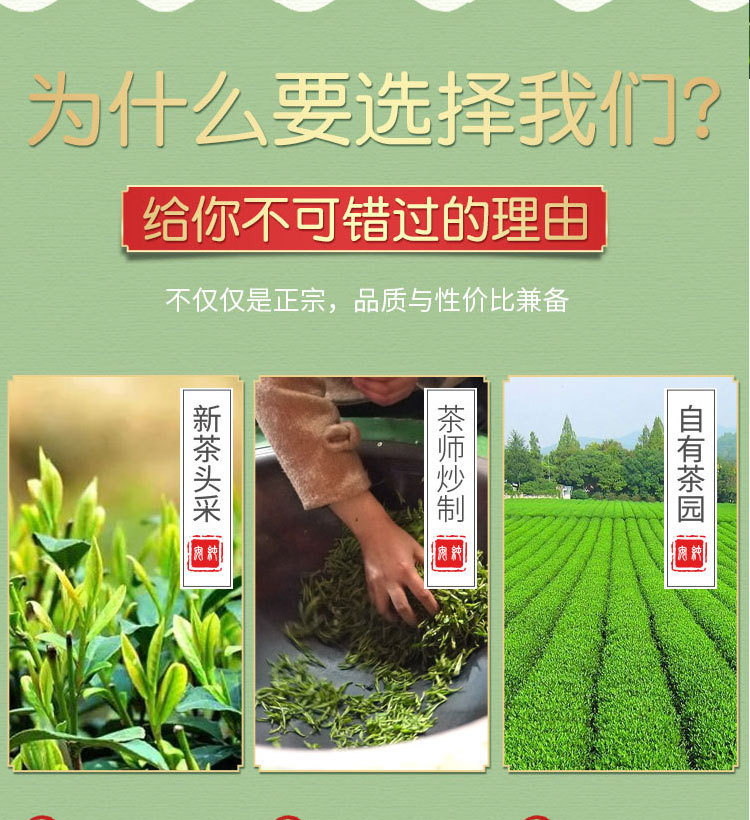 高山绿茶_09.jpg