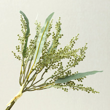 �������ѹ����� �Ҿ��b���@�L�Fڡ �Ӱ��g�����Ĕz���߼�ֲ��