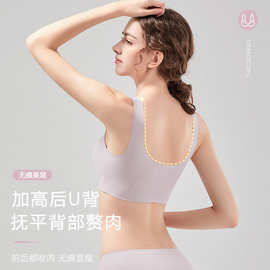 无痕内衣女运动背心大胸显小上托提拉收副乳小胸聚拢文胸罩批发