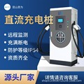 直流充电桩120kw单双枪充电站新能源汽车快充160kw扫码商用380v