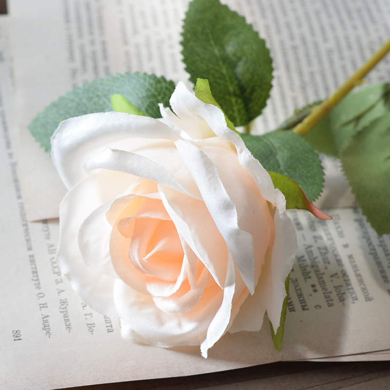 Champagne color (silk)