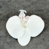 Big, white, 3D, 11.5cm