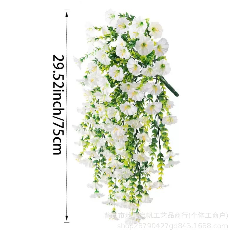 【흰 나팔꽃 등나무】