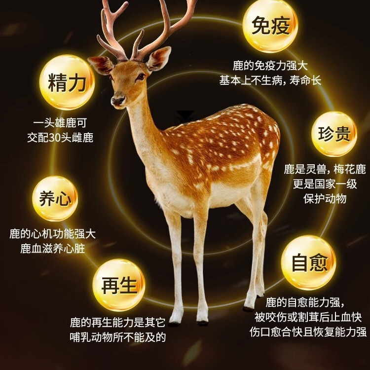 北京同仁堂鹿血片男用成人中高年男性経口薬食同源圧片キャンディー代件|undefined