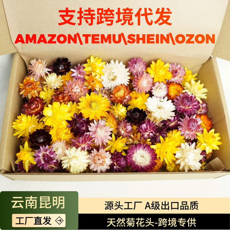 [Colorful Chrysanthemum Head] Wheat Straw Chrysanthemum Head Daisy DIY Dried Flower Aromatherapy Candle Material Cross-Border Delivery