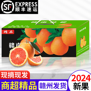 ����S���]���ҡ����ڽ����M��Ѫ�����rˮ�����ӶY���ͶY�������l