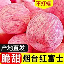 红富士苹果批发新鲜脆甜当季水果山东烟台栖霞条纹5/10斤一件批发