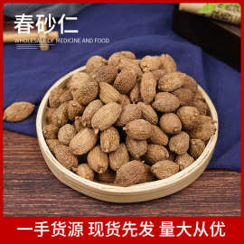 广东阳春砂仁 春砂仁砂仁米春沙仁 春砂仁 饱满大粒500克批发
