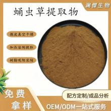 蛹虫草提取物 10：1  喷雾干燥水溶性蛹虫草粉 厂家直发 量大优惠