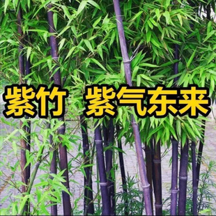 ��}�F������������������҃���ͥԺ�҃������辰�ͺ��Ȱس��G��