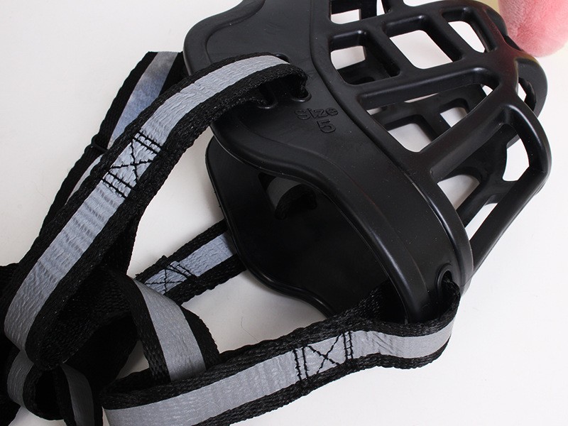 4274310424_1676148479