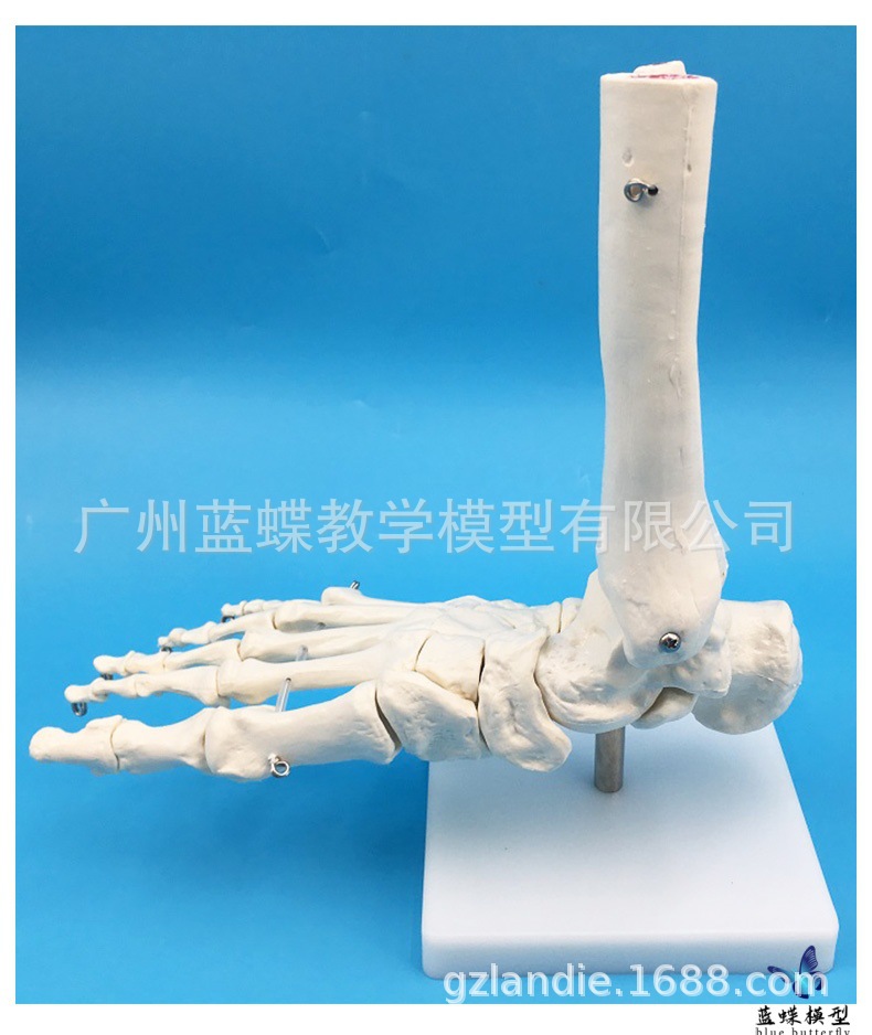 详情_08