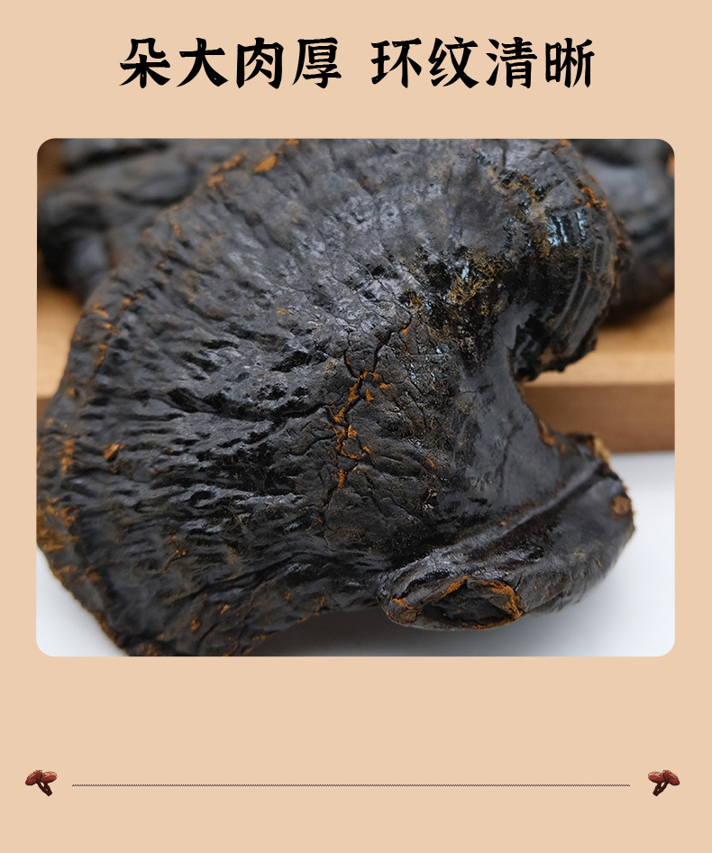 Whole Reishi Mushroom Changbai Mountain Dried Lingzhi Gift Box Nourishing Herbal Wellness specifications