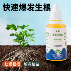 Manufacturer wholesale rapid rooting solution for transplanting flower seedlings, transplanting flowers, transplanting succulent plants, rooting agent
