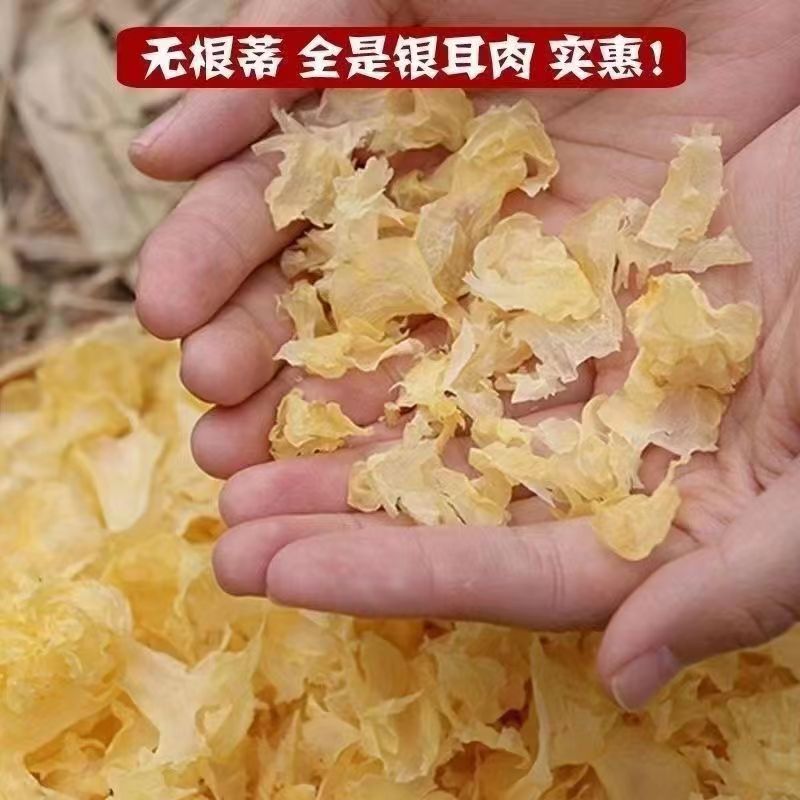 500g 트레멜라 잎 (1.5-2.3cm)