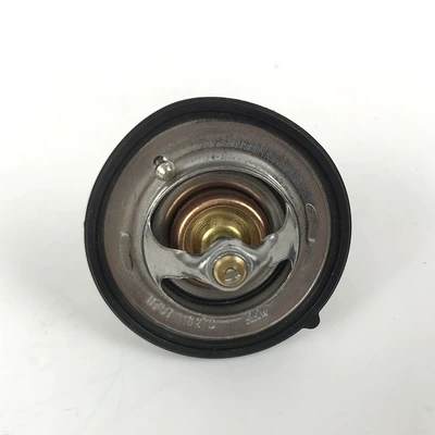 Kia car thermostats – economizer