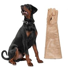 ��ҧ�����^��ţƤ������o������؈��ץҧ������ҧ���̷��R����