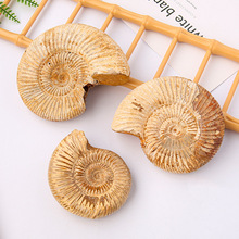 ��ȻС���ݺ���ʯ�˱���������ʯ����ԭ�Vʯ���ս̌W�˱��[��