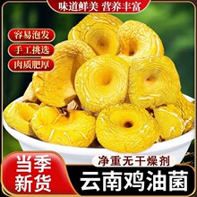 �u�;���؛����خa����u�;����������󜫳��˾���