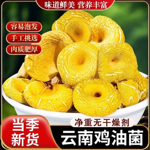 �u�;���؛����خa����u�;����������󜫳��˾���