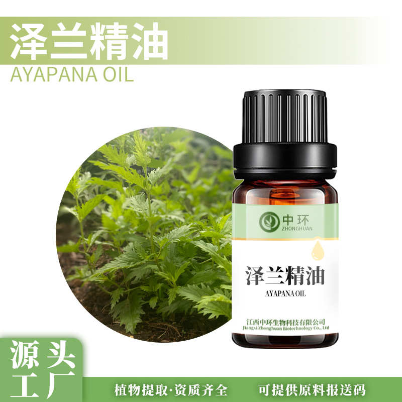 泽兰精油泽兰油植物单方精油化妆品原料提供报送码中药油厂家供应