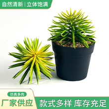 仿真多肉 加工定制多肉盆景绿植塑胶花盆栽微景观配材植物盆栽