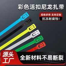彩色可松式尼龙扎带可循环使用活扣塑料捆绑4*150束线可重复使用