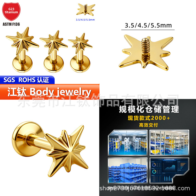 Pointed titanium steel lip stud product view