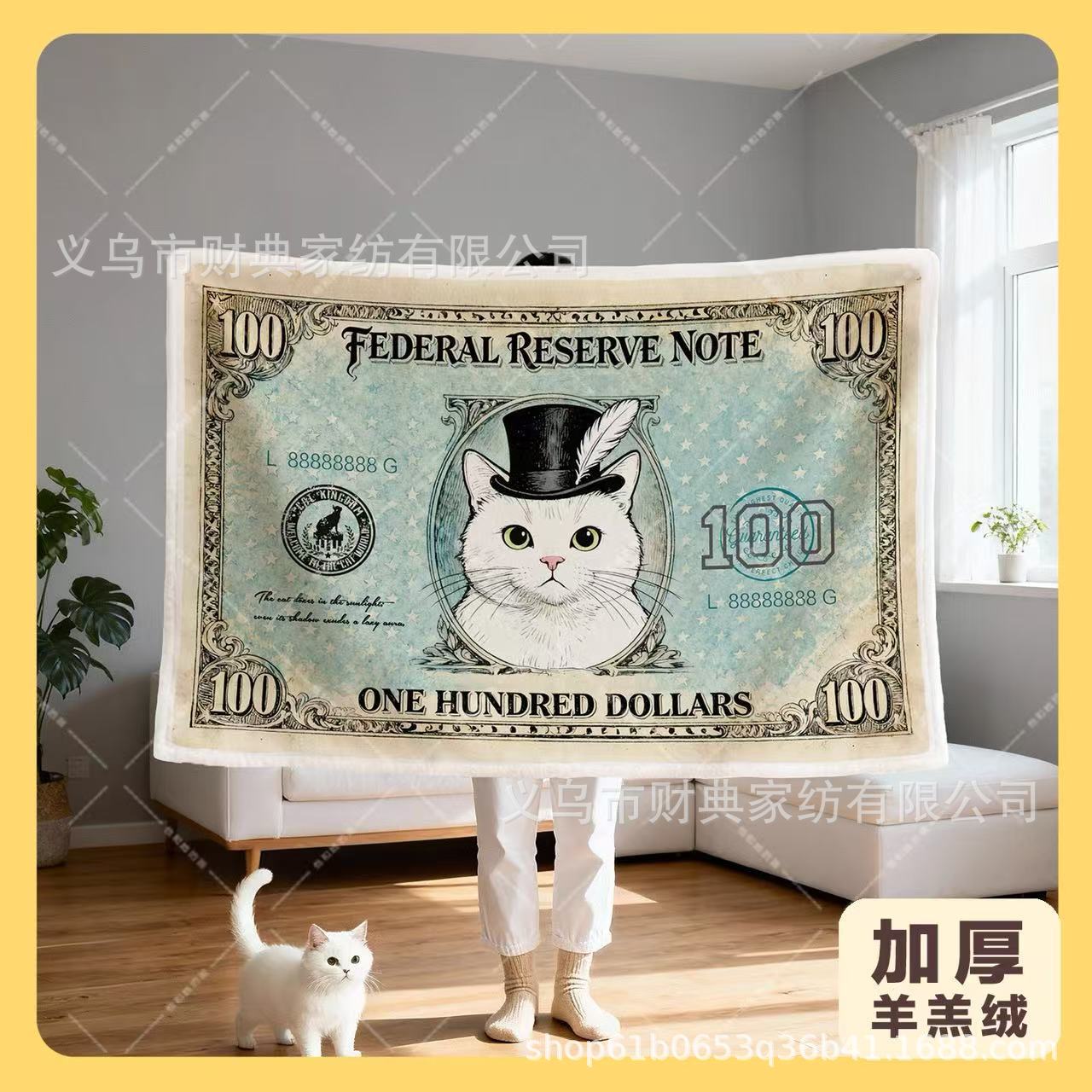 Thickened Blanket for Winter Office Nap, Shawl Blanket, Sofa Cover Blanket, Cat Dollar Creative Gift, Air Conditioning Small Blanket